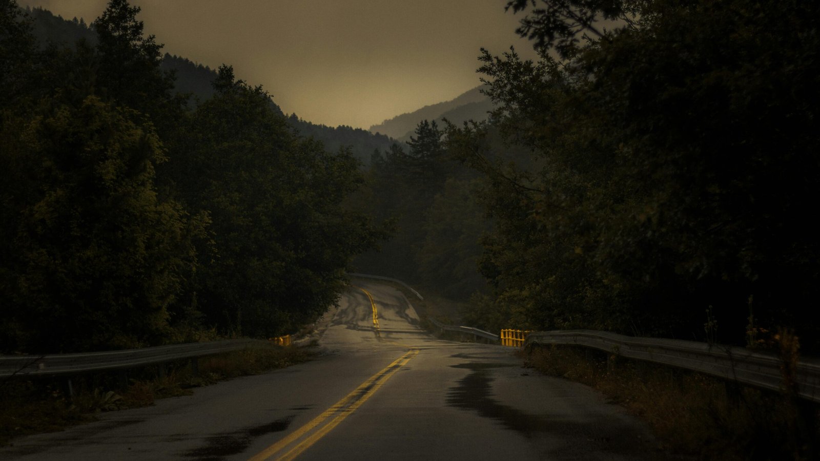 Home A misty mountain road at dawn in Greece, surrounded by lush trees and a tranquil atmosphere.